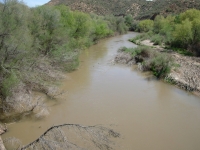 Gila River